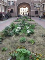Entrance and courtyard